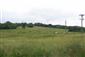 Nížinné a podhorské kosné lúky (15.6.2014)